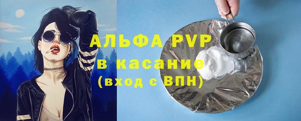 каннабис Богданович