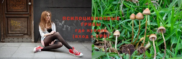каннабис Богородицк